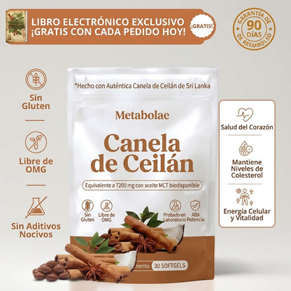 Canela de Ceilán (equivalente a 7200 mg) con aceite MCT