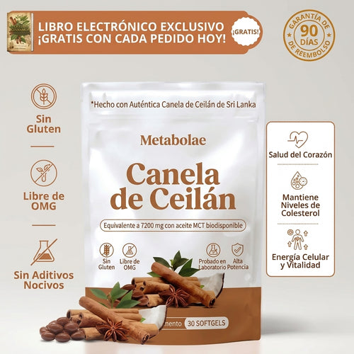 Canela de Ceilán (equivalente a 7200 mg) con aceite MCT